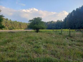 Siedlisko z dużą działką, pod hodowlę koni, psów.. - 6