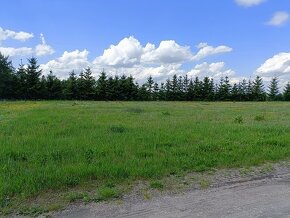 Działka budowlana o pow. 2500 m2, Piotrków Trybunalski - 6