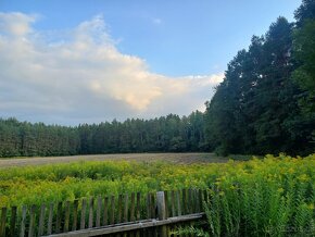 Siedlisko z dużą działką, pod hodowlę koni, psów.. - 8