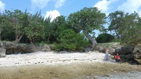 ZANZIBAR - dzialka budowlana na brzegu oceanu. PILNE - 8