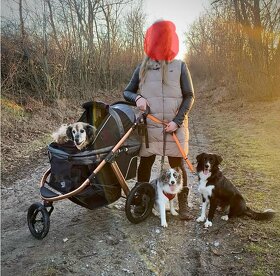 Wózek dla psa do 23kg PetBuggy - 8