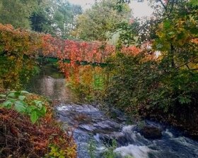 Spływy kajakowe rzeką Wel - Pole namiotowe - Pokoje - 8