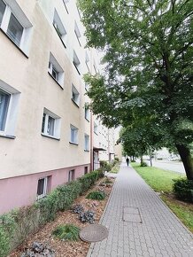 2 pokojowe mieszkanie, 43m2, parter, Śródmieście - 9